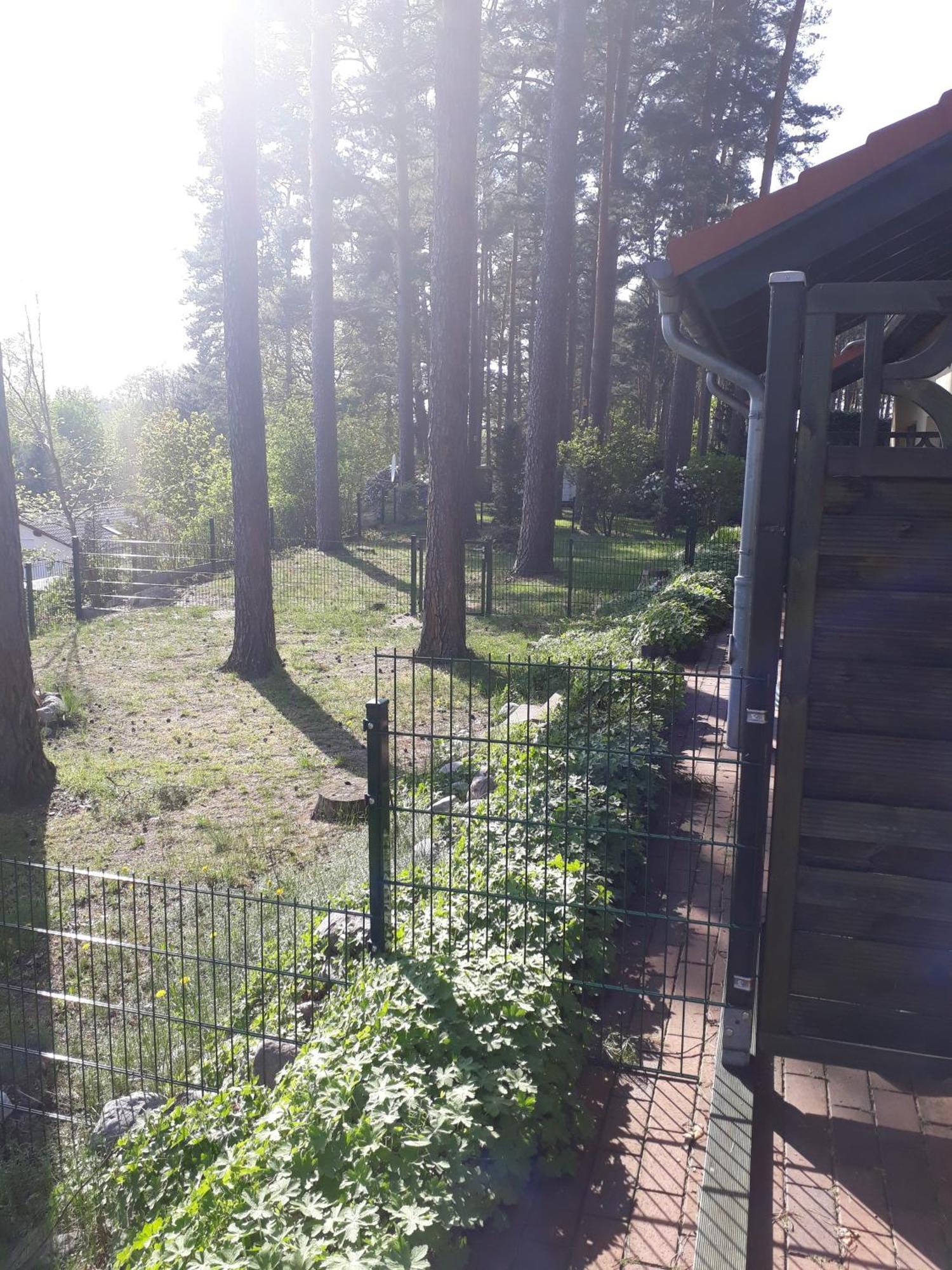 Ferienhaus am Waldrand 4b Jabel Exterior foto